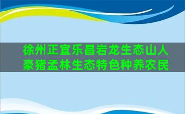 徐州正宜乐昌岩龙生态山人豪猪孟林生态特色种养农民