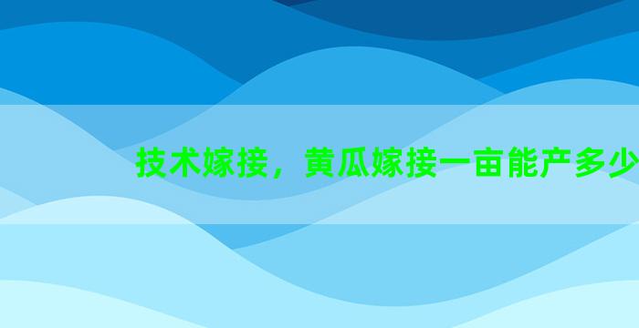 技术嫁接，黄瓜嫁接一亩能产多少