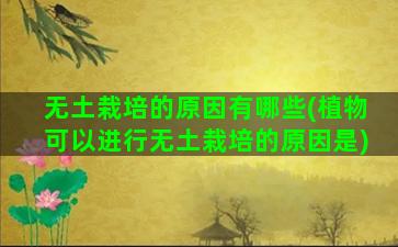 无土栽培的原因有哪些(植物可以进行无土栽培的原因是)