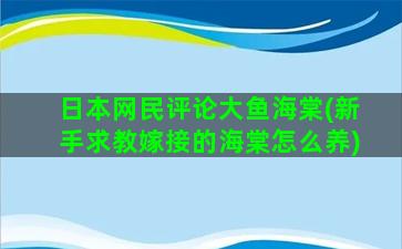 日本网民评论大鱼海棠(新手求教嫁接的海棠怎么养)