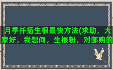 月季扦插生根最快方法(求助，大家好，我想问，生根粉，对邮购的月季花苗，成活有帮助吗)