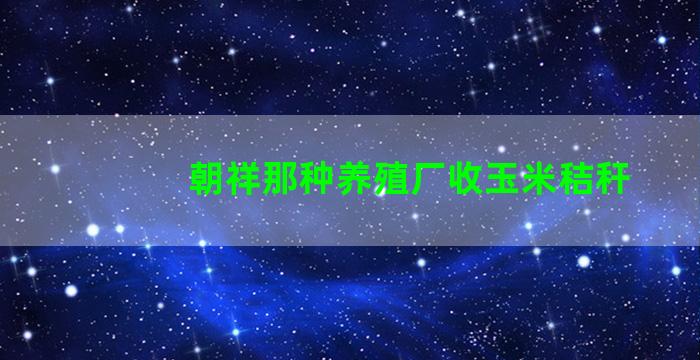 朝祥那种养殖厂收玉米秸秆