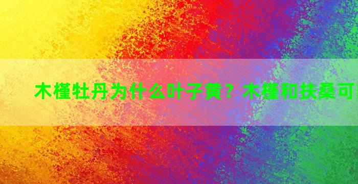 木槿牡丹为什么叶子黄？木槿和扶桑可以嫁接吗