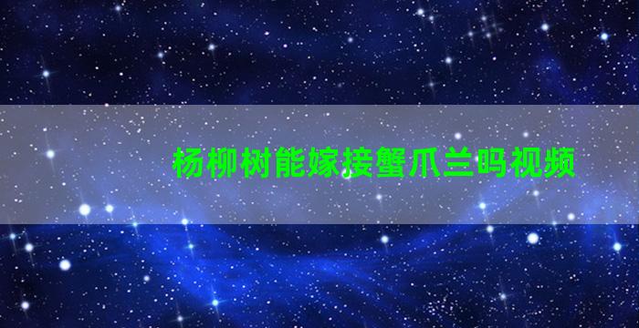 杨柳树能嫁接蟹爪兰吗视频