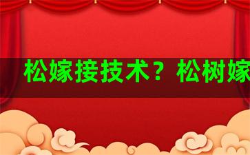 松嫁接技术？松树嫁接苗