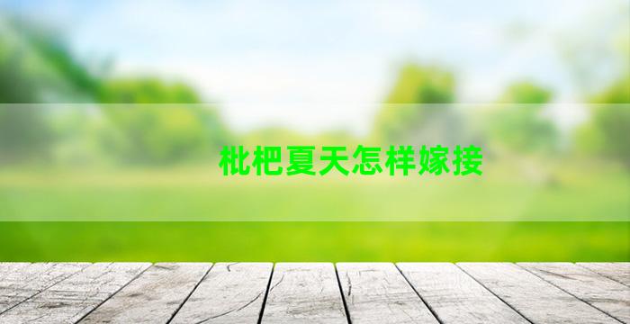 枇杷夏天怎样嫁接