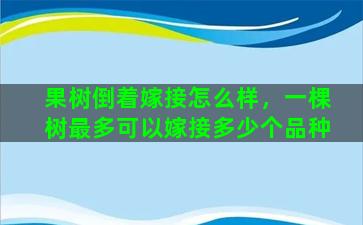 果树倒着嫁接怎么样，一棵树最多可以嫁接多少个品种