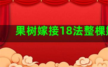 果树嫁接18法整棵嫁接