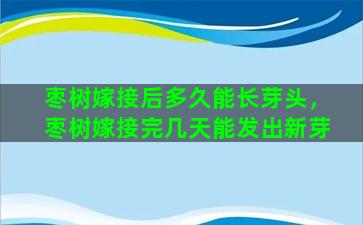 枣树嫁接后多久能长芽头，枣树嫁接完几天能发出新芽