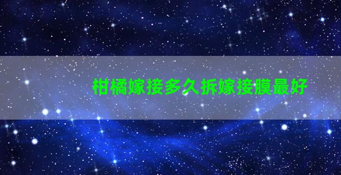 柑橘嫁接多久拆嫁接膜最好