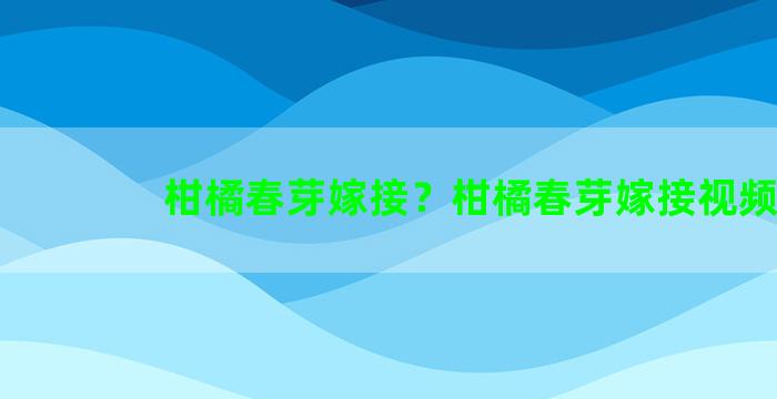 柑橘春芽嫁接？柑橘春芽嫁接视频