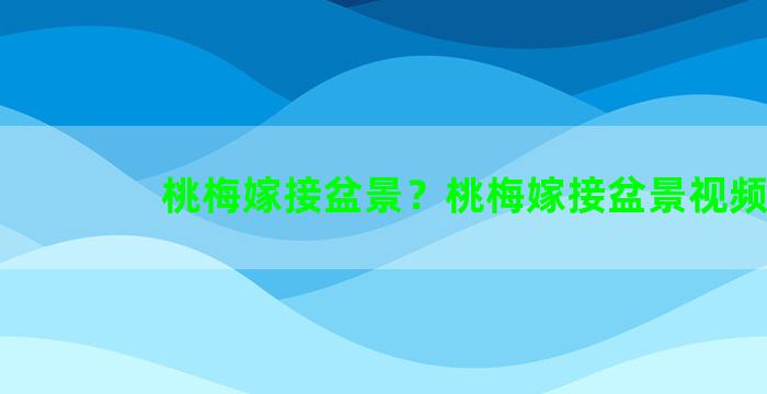 桃梅嫁接盆景？桃梅嫁接盆景视频