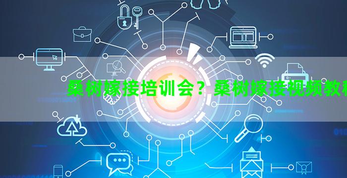 桑树嫁接培训会？桑树嫁接视频教程