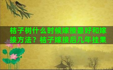 桔子树什么时候嫁接最好和嫁接方法？桔子嫁接后几年挂果