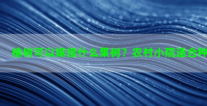 榆树可以嫁接什么果树？农村小院适合种榆树柳树吗