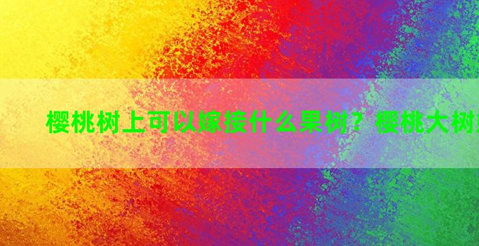 樱桃树上可以嫁接什么果树？樱桃大树嫁接方法