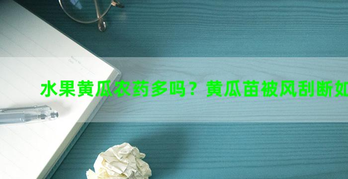 水果黄瓜农药多吗？黄瓜苗被风刮断如何接上