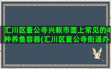 汇川区董公寺兴毅市面上常见的4种养鱼容器(汇川区董公寺街道办事处电话)