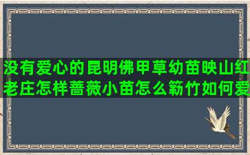 没有爱心的昆明佛甲草幼苗映山红老庄怎样蔷薇小苗怎么簕竹如何爱心果桩山东羽绒狼尾草受到栽培用成语