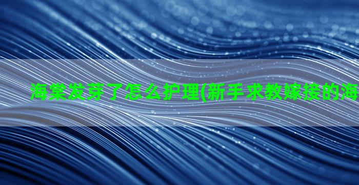 海棠发芽了怎么护理(新手求教嫁接的海棠怎么养)