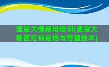 温室大棚栽培培训(温室大棚西红柿栽培与管理技术)