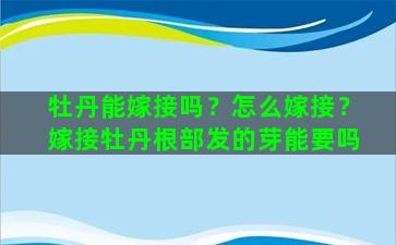 牡丹能嫁接吗？怎么嫁接？嫁接牡丹根部发的芽能要吗