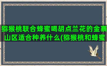 猕猴桃联合蜂蜜喝胡点兰花的金寨山区适合种养什么(猕猴桃和蜂蜜水能不能一起喝)