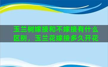 玉兰树嫁接和不嫁接有什么区别，玉兰花嫁接多久开花