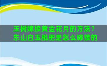 玉树嫁接黄金花月的方法？东山白玉枇杷是怎么嫁接的