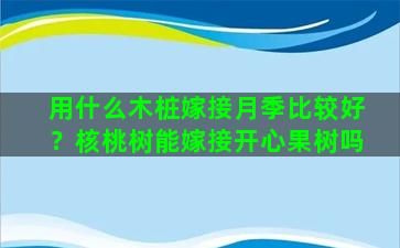 用什么木桩嫁接月季比较好？核桃树能嫁接开心果树吗