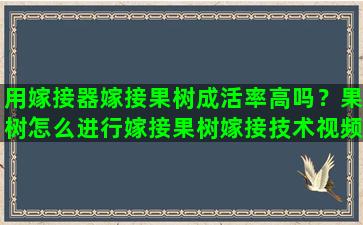 用嫁接器嫁接果树成活率高吗？果树怎么进行嫁接果树嫁接技术视频,嫁接方法图解