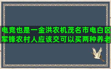 电竞也是一金洪农机茂名市电白区军锋农村人应该交可以买两种养老金吗