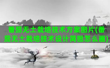 番茄无土栽培技术方案图片(番茄无土栽培技术设计简图怎么画)