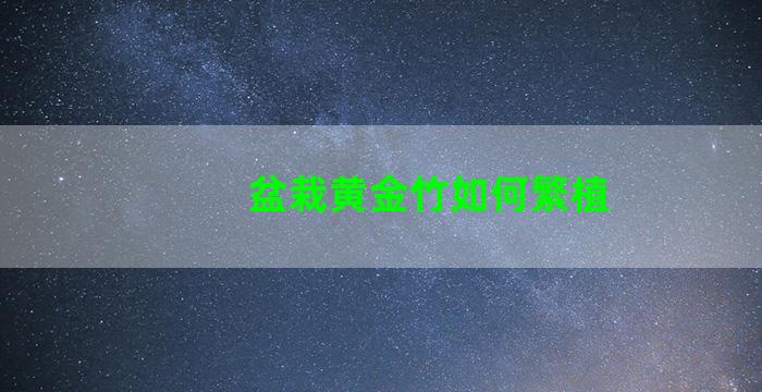 盆栽黄金竹如何繁植