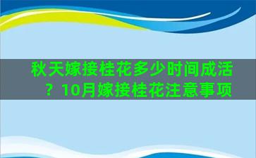 秋天嫁接桂花多少时间成活？10月嫁接桂花注意事项