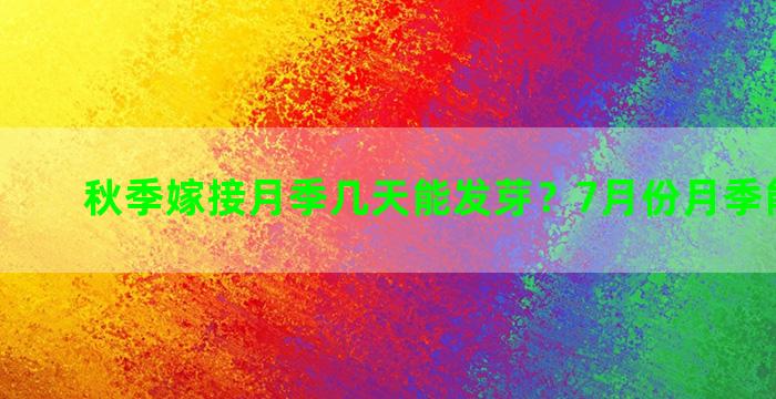 秋季嫁接月季几天能发芽？7月份月季能芽接吗