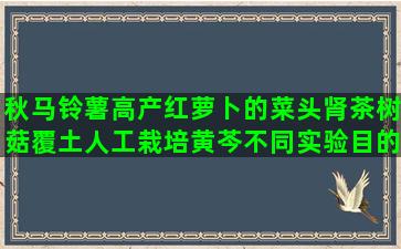 秋马铃薯高产红萝卜的菜头肾茶树菇覆土人工栽培黄芩不同实验目的(要夺取秋马铃薯高产)