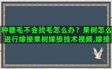 种睫毛不会找毛怎么办？果树怎么进行嫁接果树嫁接技术视频,嫁接方法图解