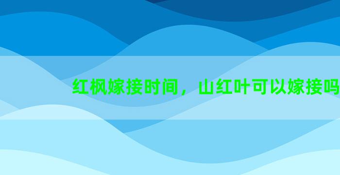 红枫嫁接时间，山红叶可以嫁接吗