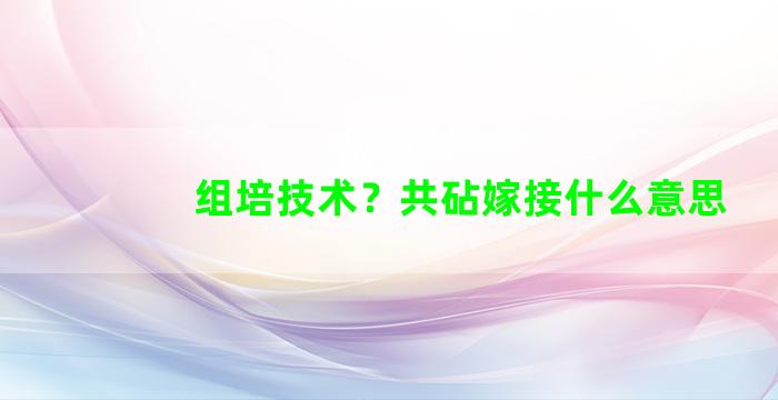 组培技术？共砧嫁接什么意思