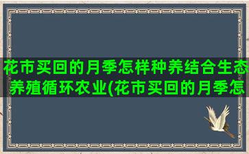 花市买回的月季怎样种养结合生态养殖循环农业(花市买回的月季怎样种养)