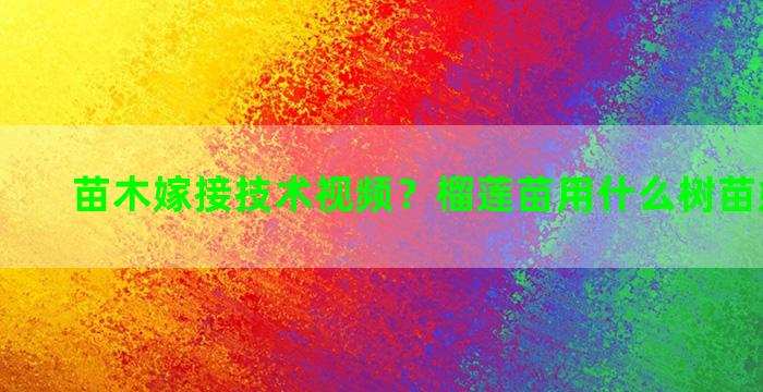 苗木嫁接技术视频？榴莲苗用什么树苗嫁接最好