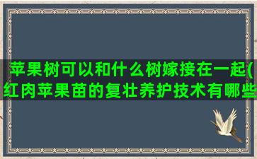 苹果树可以和什么树嫁接在一起(红肉苹果苗的复壮养护技术有哪些)