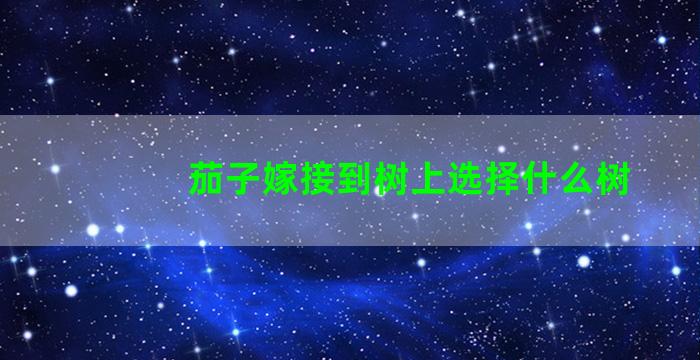 茄子嫁接到树上选择什么树