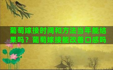 葡萄嫁接时间和方法当年能结果吗？葡萄嫁接能改善口感吗