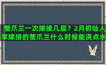 蟹爪兰一次嫁接几层？2月初仙人掌嫁接的蟹爪兰什么时候能浇点水