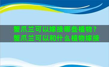 蟹爪兰可以嫁接哪些植物？蟹爪兰可以和什么植物嫁接