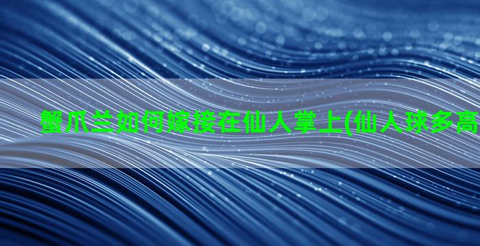 蟹爪兰如何嫁接在仙人掌上(仙人球多高可以嫁接)