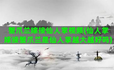 蟹爪兰嫁接仙人掌视频(仙人掌嫁接蟹爪兰是仙人掌越大越好吗)