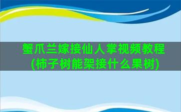 蟹爪兰嫁接仙人掌视频教程(柿子树能架接什么果树)